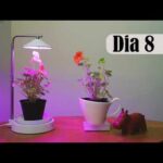 Lámparas LED para plantas con sensor de movimiento para su correcto crecimiento